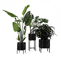 Ivo Plant Stand Medium Ivo Plant Stand Medium