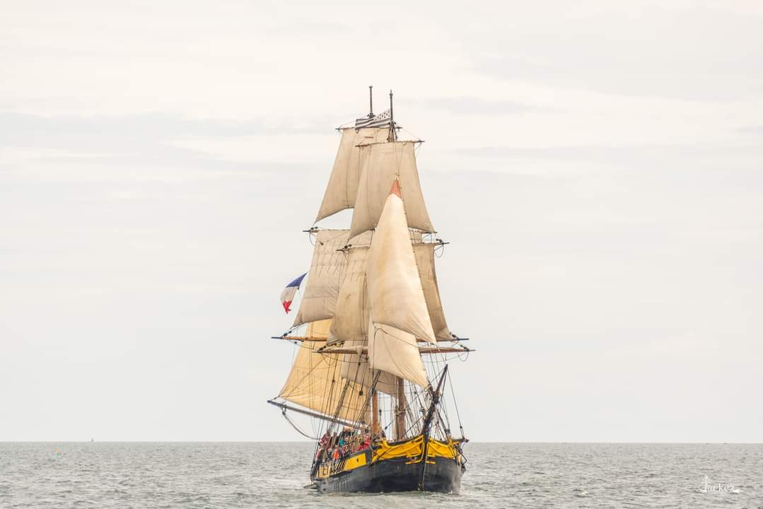 10/10 au 12/10/25 Croisière Découverte : Aventure Marine de Vigo à Sines