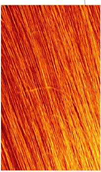Mowan Megix|10 ARANCIO (COPPER) Mowan Megix|10 ARANCIO (COPPER)