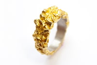 Anillo Roca Anillo Roca