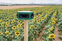 Vadalarm Smart Hexa