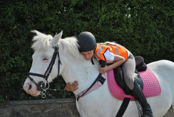 Adventure Camp in England Adventure Camp in England