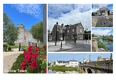 Homestay camp English & Fun Homestay camp English & Fun