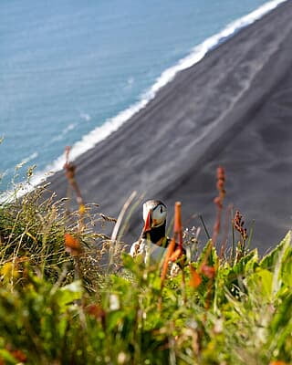 Iceland Travel Photography Workshop Iceland Travel Photography Workshop