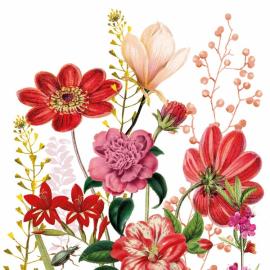 PPD - Floria PPD - Floria