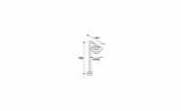 MOLAT POLE antraciet 1xE27 MOLAT POLE antraciet 1xE27