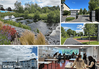 Homestay camp English & Fun Homestay camp English & Fun